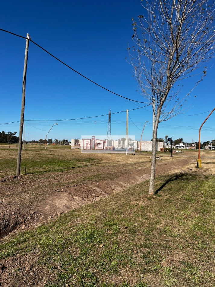 Terreno en Colonia San Jose