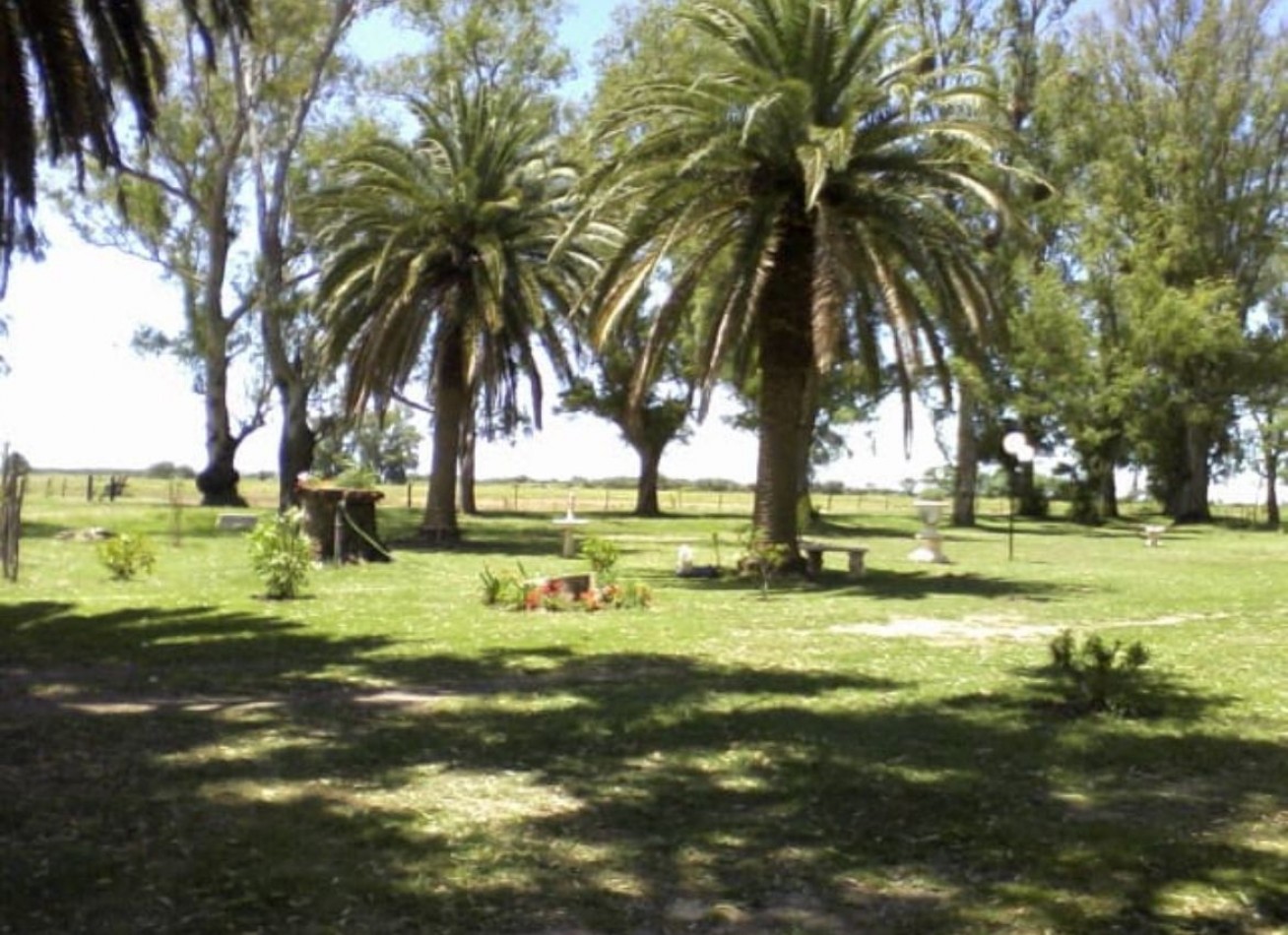Campo Ganadero - Agricola - San Jeronimo del Sauce / Santa Fe
