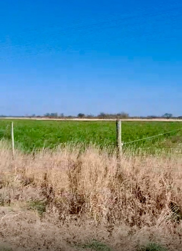 Campo Ganadero - Agricola - San Jeronimo del Sauce / Santa Fe