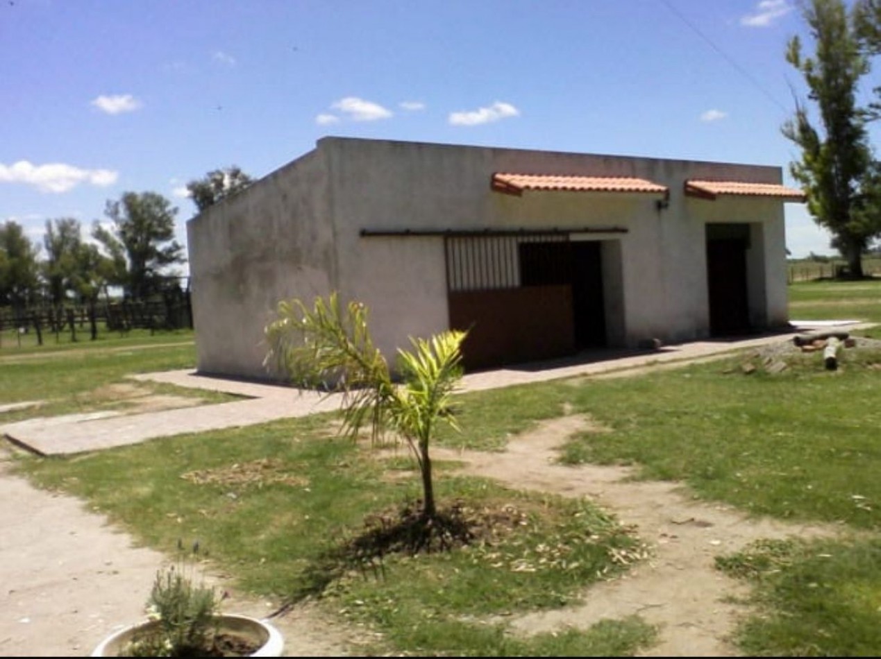 Campo Ganadero - Agricola - San Jeronimo del Sauce / Santa Fe